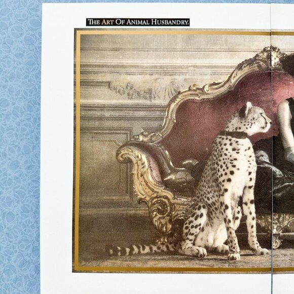 Martell Cognac 90s Ad | Luxe Cheetah Spread | Vintage Bar Decor - Picture 3 of 10